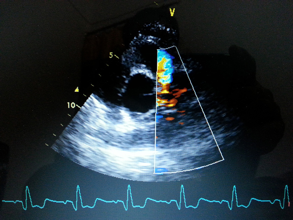 Figure 4. 